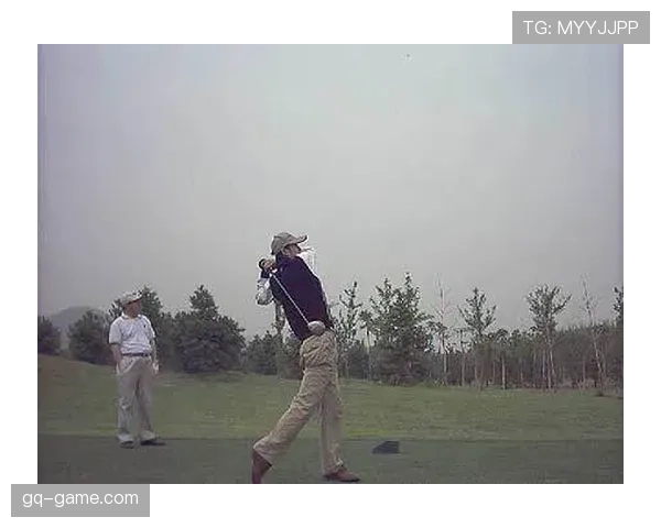 加亚战术适配性提升，开启竞技新机遇与挑战