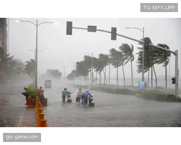 全球气候危机加剧，各国多措并举应对极端天气挑战