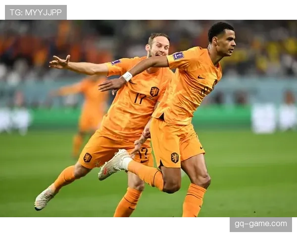 加克波技术全面性